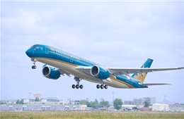 Vietnam Airlines nhận vận chuyển hoa đào, mai dịp Tết Mậu Tuất 2018